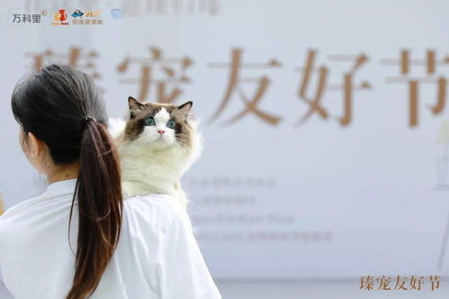 臻宠友好节圆满落幕 医疗美容服务引领宠物健康新风尚